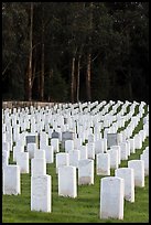 Headstones, San Francisco National Cemetery, Presidio. San Francisco, California, USA (color)