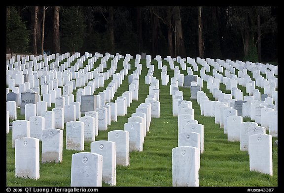 Rows of headstones, San Francisco National Cemetery, Presidio. San Francisco, California, USA (color)