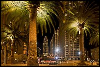 Palm trees and Embarcadero Center at night. San Francisco, California, USA (color)