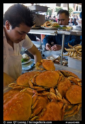 Man preparing crabs, Fishermans wharf. San Francisco, California, USA (color)