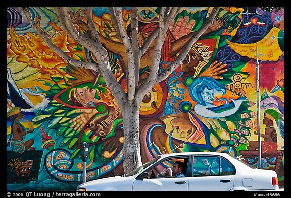 Man sitting in car, mural, and tree, Mission District. San Francisco, California, USA