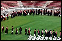 Class of 2009 lines up to seat for commencement. Stanford University, California, USA