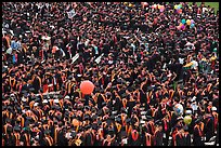 Mass of graduates in academic robes. Stanford University, California, USA (color)