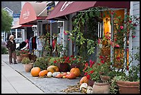 Sidewalk in the fall. Half Moon Bay, California, USA