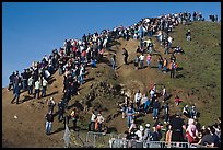 Crowds scrambling on hill during mavericks competition. Half Moon Bay, California, USA (color)
