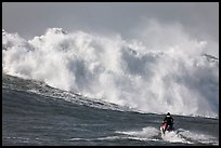 Jet ski dwarfed by huge breaking wave. Half Moon Bay, California, USA