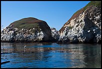 Bird and cliffs, China Cove. Point Lobos State Preserve, California, USA (color)