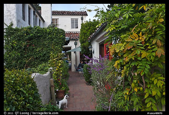 Alley. Carmel-by-the-Sea, California, USA (color)