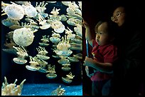 Mother and infant look at Jelly exhibit, Monterey Bay Aquarium. Monterey, California, USA