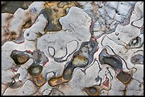 Eroded patterns in shale rocks. Point Lobos State Preserve, California, USA ( color)