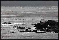 Rocks and backlit water, Carmel Bay. Carmel-by-the-Sea, California, USA ( color)