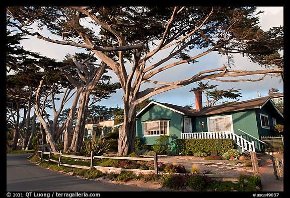 Residential homes and cypress trees. Carmel-by-the-Sea, California, USA