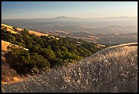 View from Evergreen Hills. San Jose, California, USA