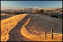 Path on crest of Evergreen Hills. San Jose, California, USA