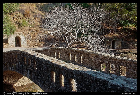 Stone bridge, tree, and grotto stonework, Alum Rock Park. San Jose, California, USA (color)