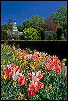 Flowers and garden shop, Filoli estate. Woodside,  California, USA ( color)
