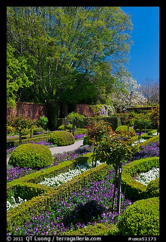Hedges and flowers, walled garden, Filoli estate. Woodside,  California, USA