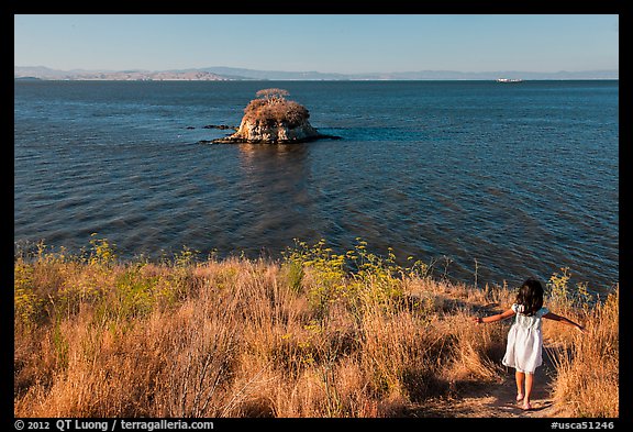 Girl on San Pablo Bay grassy shore, China Camp State Park. San Pablo Bay, California, USA (color)
