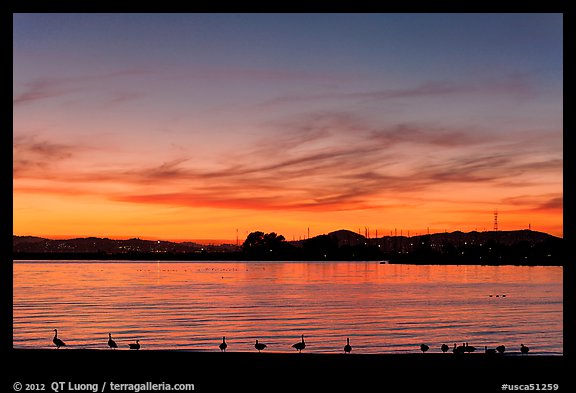 Ducks at sunset, Robert W Crown Memorial State Beach. Alameda, California, USA