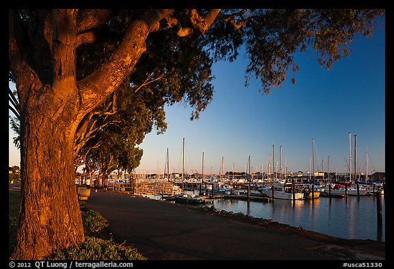 Marina at sunset, Vallejo. San Pablo Bay, California, USA