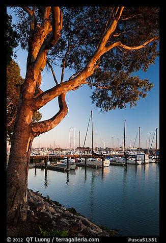 Municipal marina, Vallejo. San Pablo Bay, California, USA