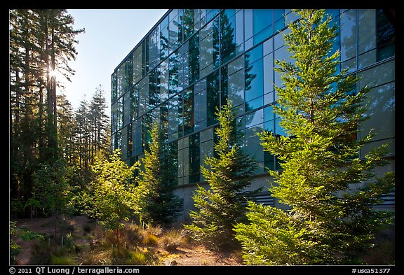 University of California at Santa Cruz. Santa Cruz, California, USA (color)