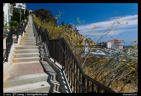 Stairs above harbor, Avalon Bay, Santa Catalina Island. California, USA (color)