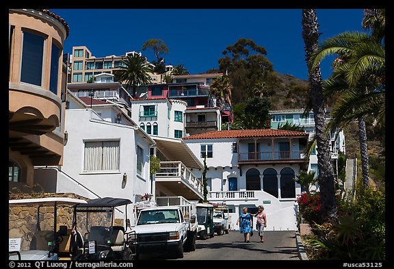 Street with hillside houses looming above, Avalon, Catalina. California, USA