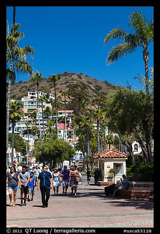 Street near waterfront, Avalon Bay, Santa Catalina Island. California, USA