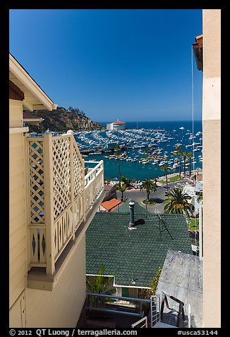 Harbor seen from between hillside houses, Avalon, Catalina. California, USA (color)