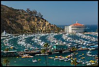 Pier and Catalina Casino, Avalon Bay, Santa Catalina Island. California, USA (color)