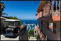 House and golf cart overlooking harbor, Avalon, Santa Catalina Island. California, USA (color)