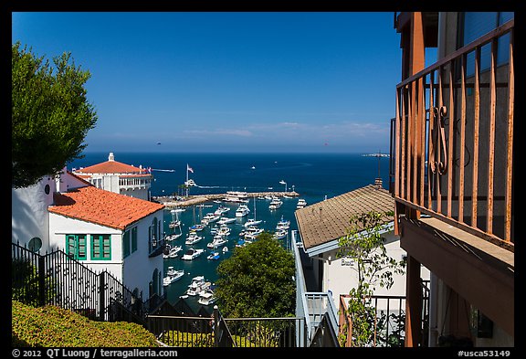 Hillside houses overlooking harbor, Avalon Bay, Santa Catalina Island. California, USA