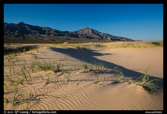On Kelso Sand Dunes. Mojave National Preserve, California, USA (color)
