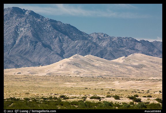Kelso Sand Dunes at the base of Granite Mountains. Mojave National Preserve, California, USA