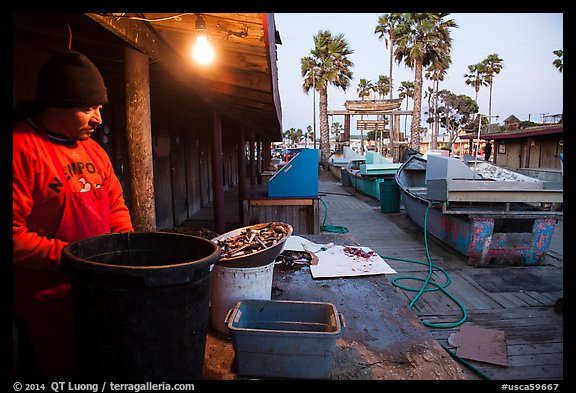 Fisherman, beachside fishing cooperative. Newport Beach, Orange County, California, USA (color)