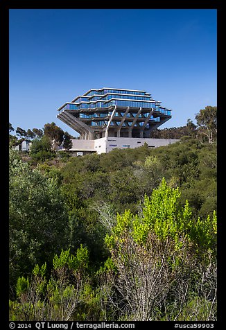Geisel Library seen from parkland, UCSD. La Jolla, San Diego, California, USA (color)