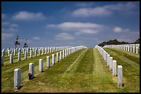 Headstones, Fort Rosecrans National Cemetary. San Diego, California, USA ( color)
