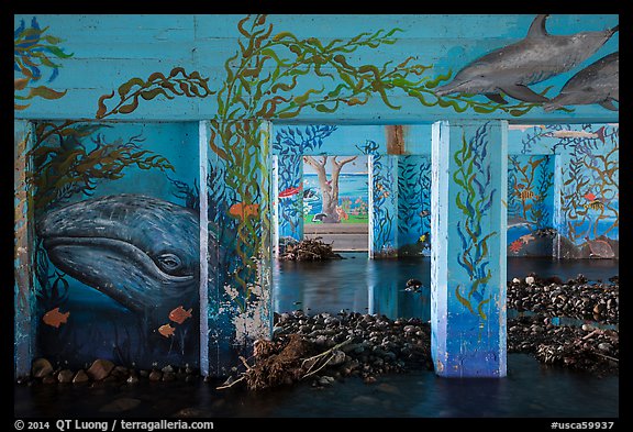 PCH underpass decorated with mural of ocean life, Leo Carrillo State Park. Los Angeles, California, USA (color)