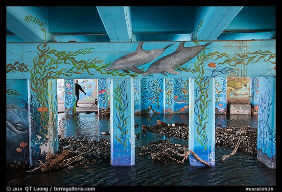 Man walking dog in underpass with mural, Leo Carrillo State Park. Los Angeles, California, USA (color)