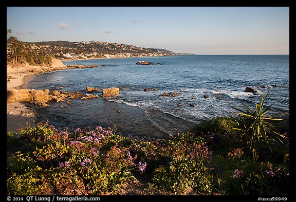 High bluff with flowers overlooking coastline in late afternoon. Laguna Beach, Orange County, California, USA (color)
