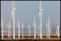 Wind farm, San Gorgonio Pass. California, USA ( color)