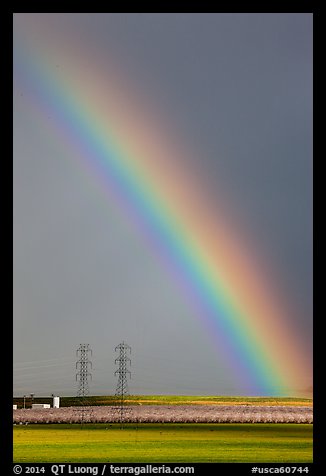 Rainbow above agricultural lands. California, USA (color)
