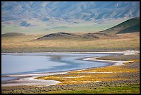 Soda Lake shore and hills from above. Carrizo Plain National Monument, California, USA ( color)