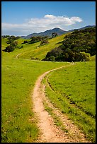 Trail and luch hills, Pacheco State Park. California, USA ( color)