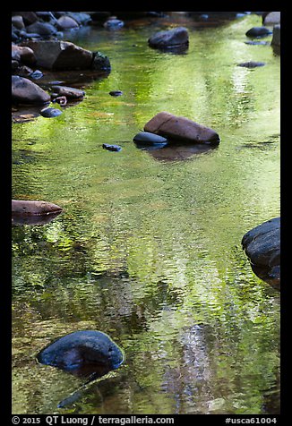 Boulders and green foliage reflection in river. California, USA (color)