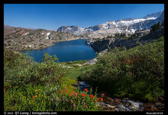 Wildflowers, stream, and lake, Twenty Lakes Basin, Inyo National Forest. California, USA (color)