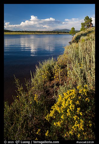 Prosser Reservoir, Tahoe National Forest. California, USA (color)