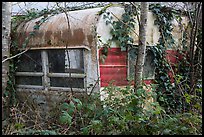 Overgrown trailer, Klamath. California, USA ( color)