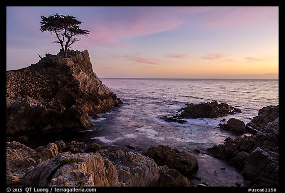 Lone Cypress clinging to its wave-lashed granite pedestal. Pebble Beach, California, USA (color)